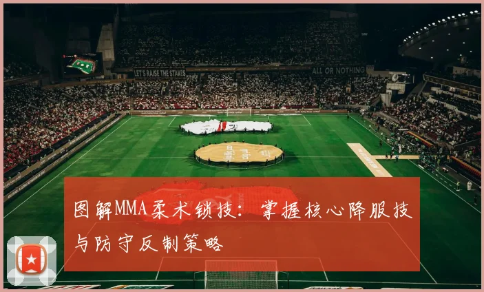 图解MMA柔术锁技：掌握核心降服技与防守反制策略