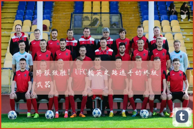 降服致胜！UFC精英之路选手的终极武器