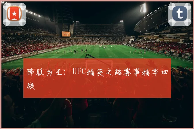 降服为王：UFC精英之路赛事精华回顾