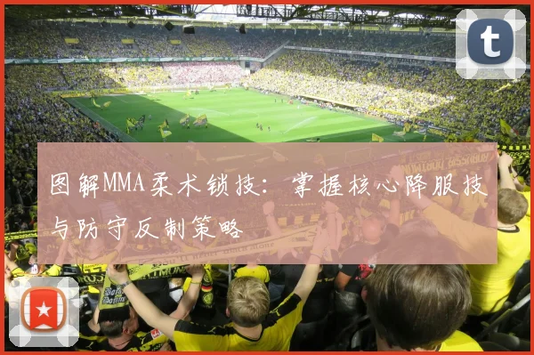 图解MMA柔术锁技：掌握核心降服技与防守反制策略