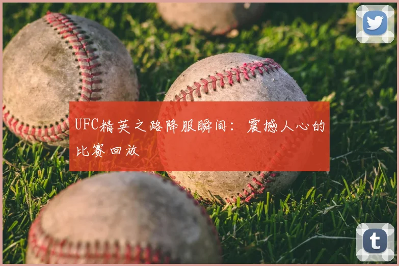 UFC精英之路降服瞬间:震撼人心的比赛回放