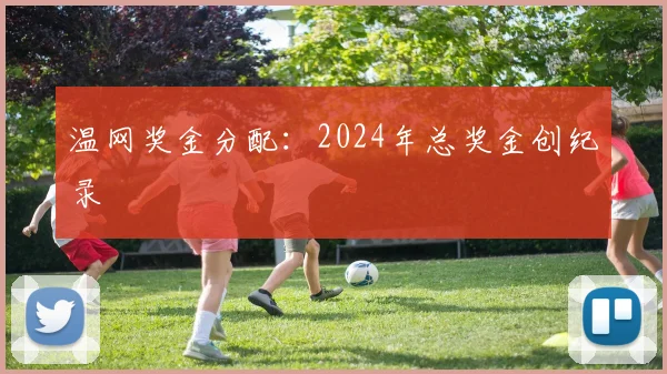 温网奖金分配:2024年总奖金创纪录