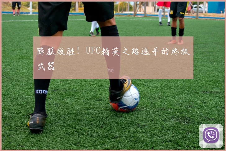 降服致胜！UFC精英之路选手的终极武器