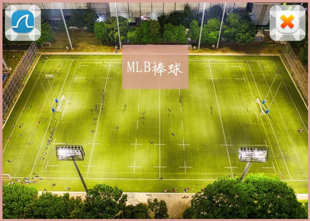 MLB棒球