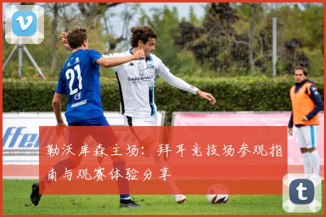 勒沃库森主场：拜耳竞技场参观指南与观赛体验分享